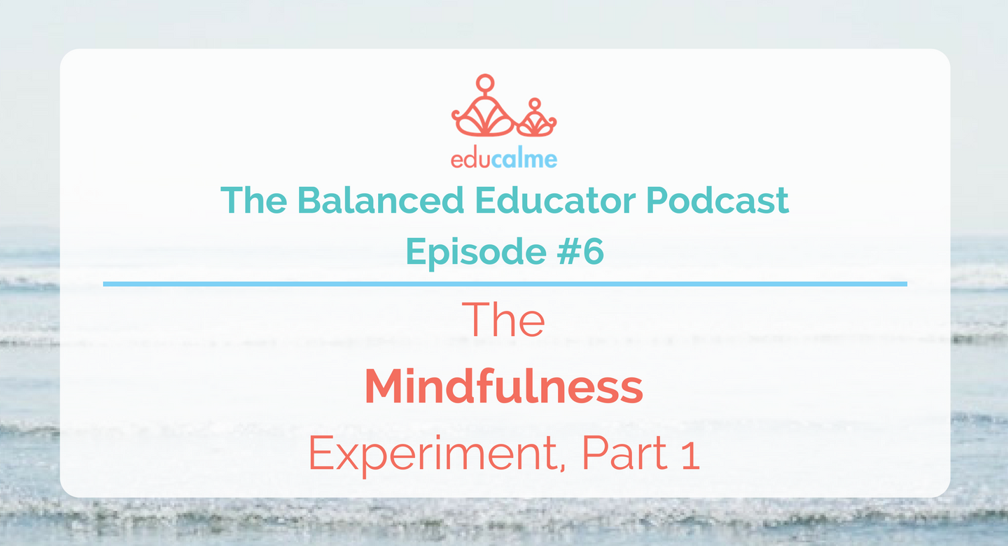 TBE #006: The Mindfulness Experiment,  Part 1