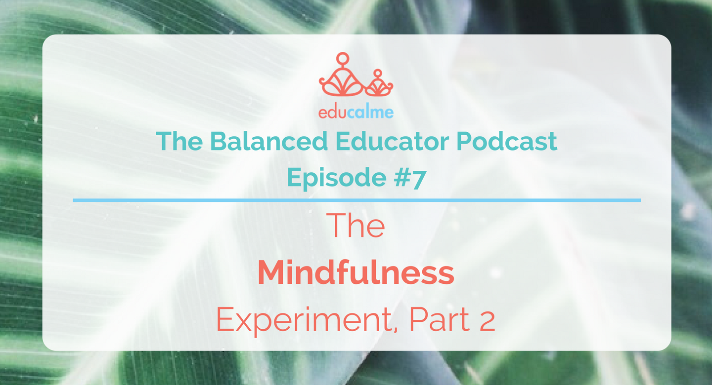 TBE #007: The Mindfulness Experiment, Part 2